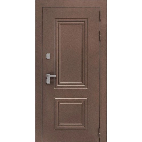 Входная дверь Д-68-ФЛ-677