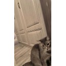 Шкаф, тумба и буфет